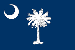 operate a delaware company in south carolina